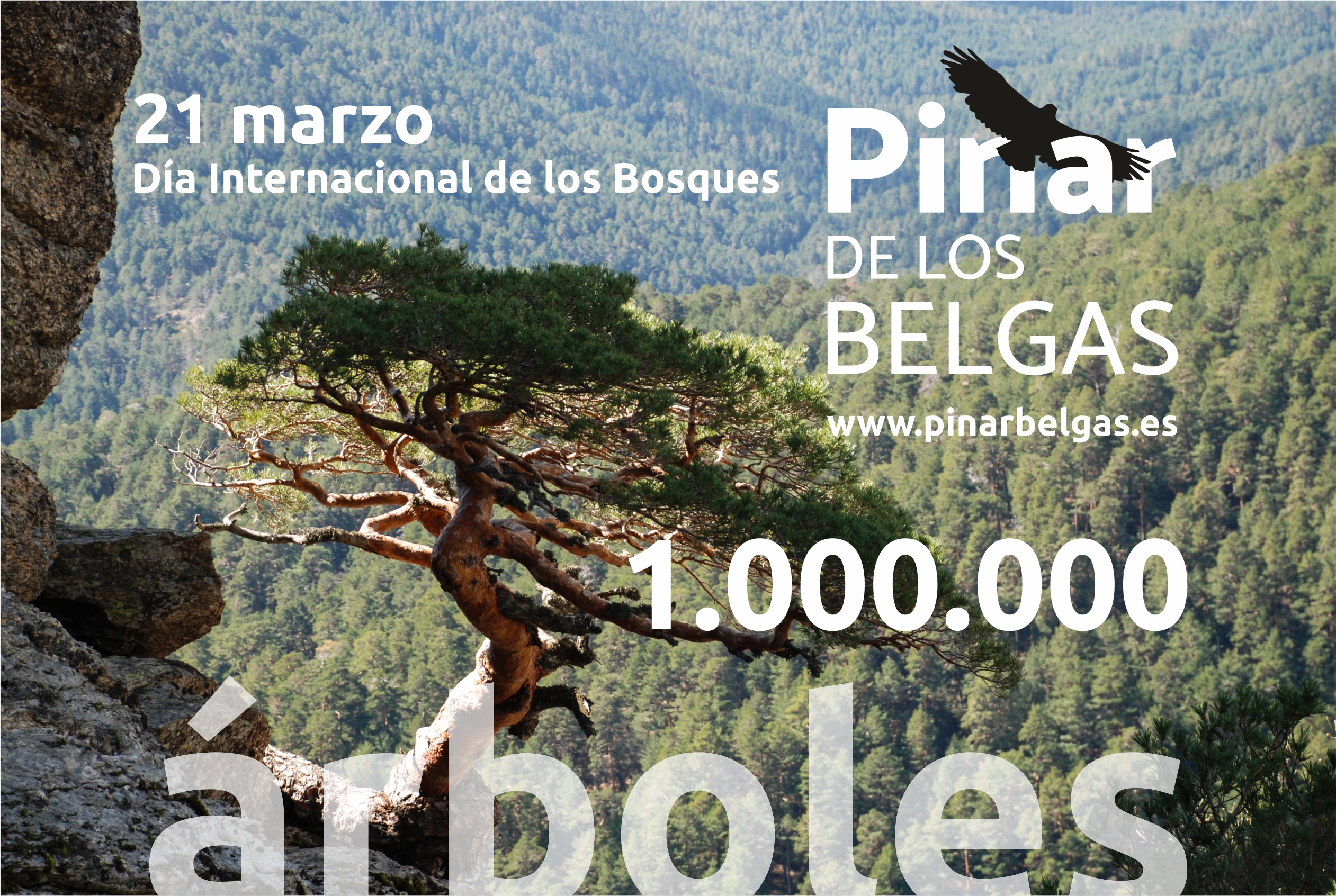 1 millón de árboles en el corazón de la Sierra de Guadarrama.